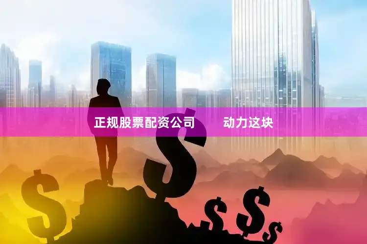 正规股票配资公司        动力这块