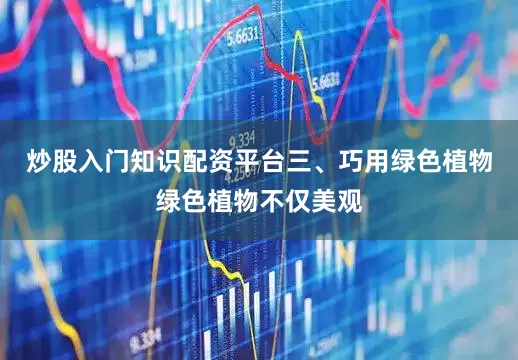 炒股入门知识配资平台三、巧用绿色植物绿色植物不仅美观