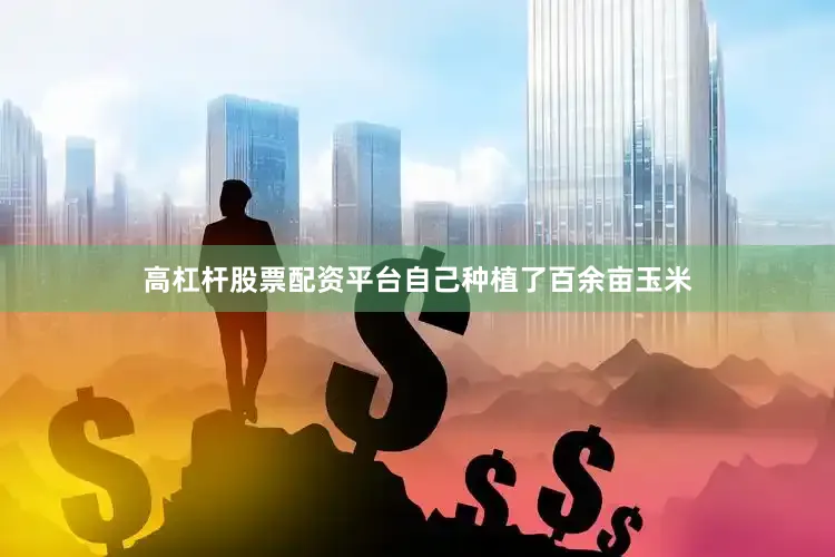 高杠杆股票配资平台自己种植了百余亩玉米