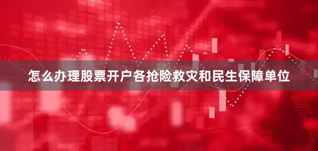 怎么办理股票开户各抢险救灾和民生保障单位