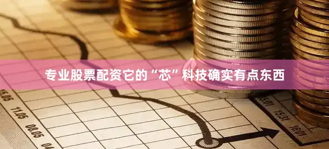 专业股票配资它的“芯”科技确实有点东西