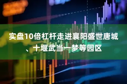 实盘10倍杠杆走进襄阳盛世唐城、十堰武当一梦等园区